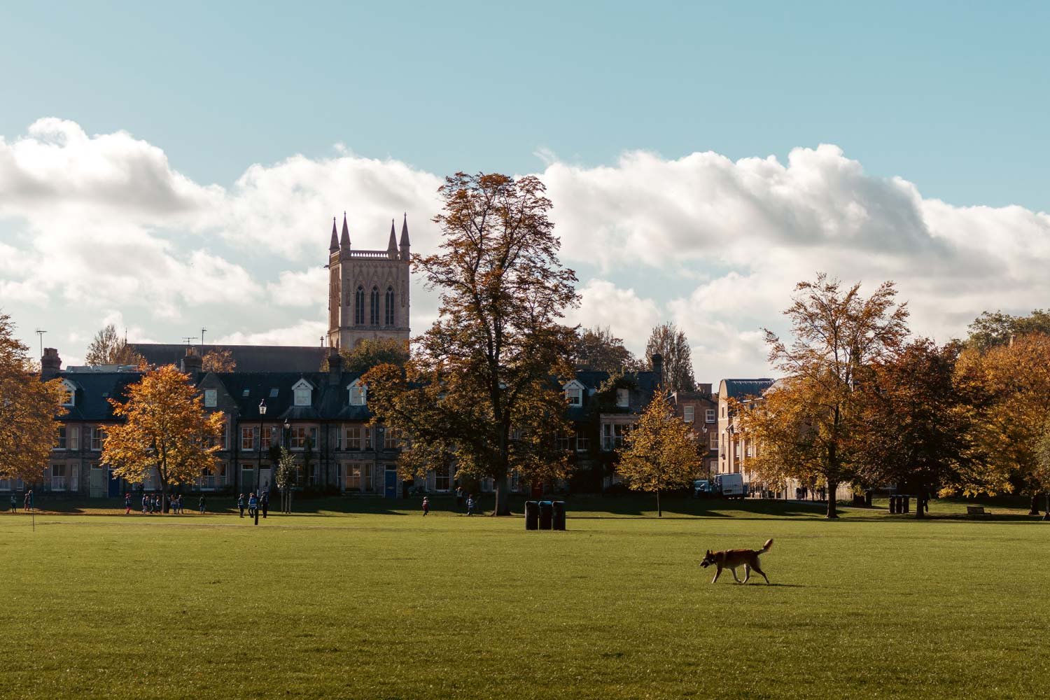 Parker\u2019s Piece and college rooftops, Cambridge
